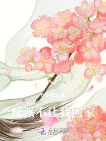 表达会计师的词语
