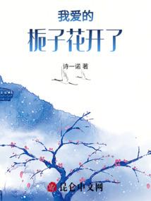 日照初级会计时间报名