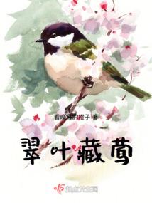 格力集团会计方向的论文