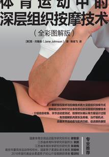 应付会计实习