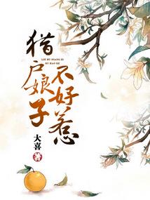 律师和会计师哪个赚钱多