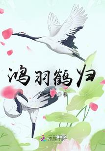 东奥会华冰表演
