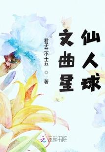 会计师分多少种