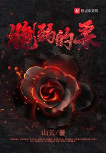 正高级会计师教学