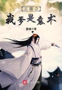 做帐软件会计分录