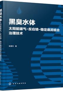 初级会计考试啤酒税率