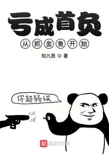 初级会计杨善长