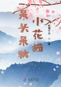 半个月突击中级会计