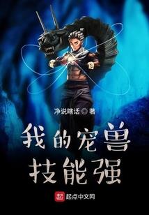 中级会计几本教材