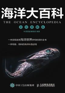 西乡财税顾问待遇