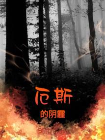 注册会计师能做税审