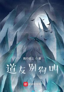 南皮招会计