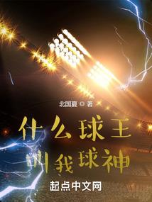 会计师样板