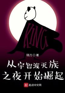 cpa老板的会计