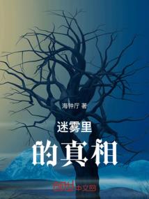 注册会计师怎么设置时间