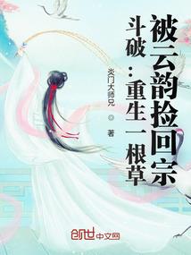 11月会计初级考试