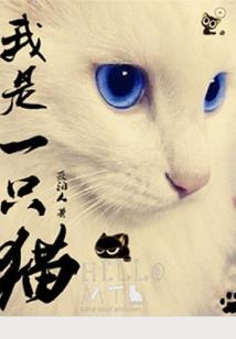 西安登科财税小李