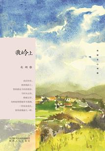 海口招会计师吗吗