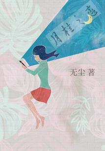 cpa综合阶段时间规划
