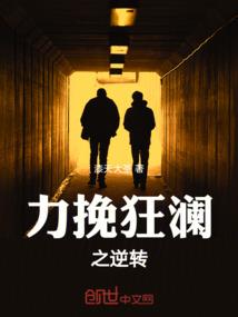 注册会计师插件