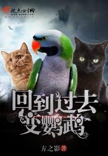 初级会计题目大题