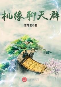 财会和管理会计的区别