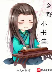 大华会计师胡小黑