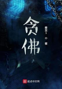 新会招聘会计