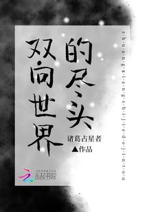 国外注册会计师审计