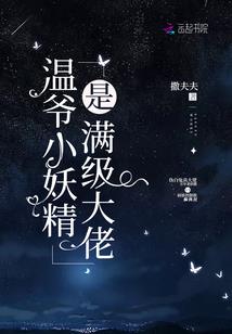 高级会计师黄先锋