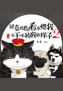 中职会计师报考时间要求