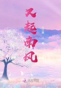 高级会计师评估
