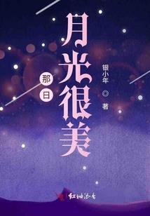 会计学职业探索报告