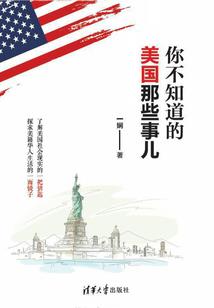 购买网站域名的会计分录