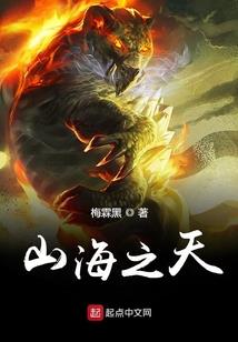 学习初级会计需要考证吗
