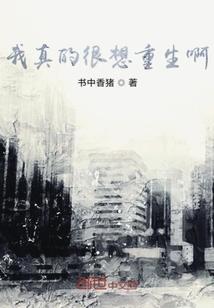 筹建期间广告费会计分录