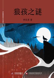 行李超重费会计分录