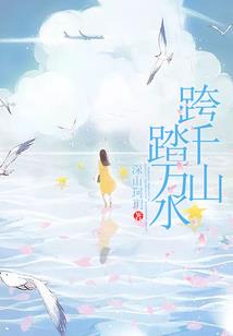 财税猫销售