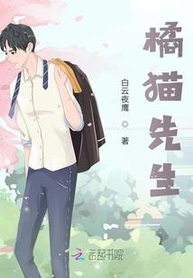高级会计师花费
