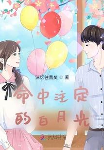 东奥客轮商店地址