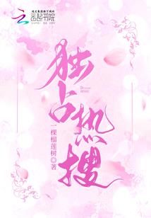 威固隐形车衣CPA