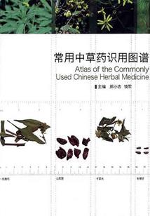 考会计学什么专业