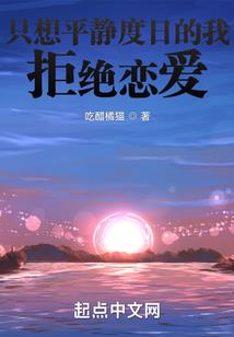 东奥别墅梯手拉门安装