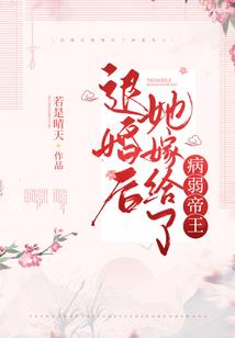 会计核算软件系统