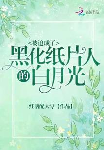 关于会计的ppt