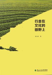 商品化通用会计软件