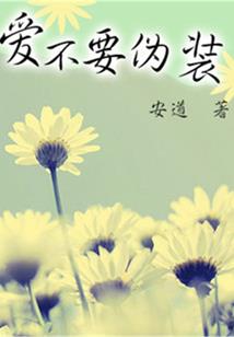 石狮初级会计证领取