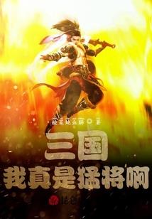 合肥财税代理记账费用