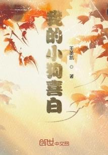 湘潭招聘注册会计师