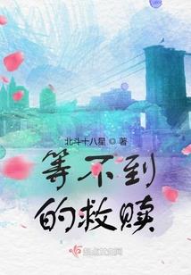 检验中级会计报考费用
